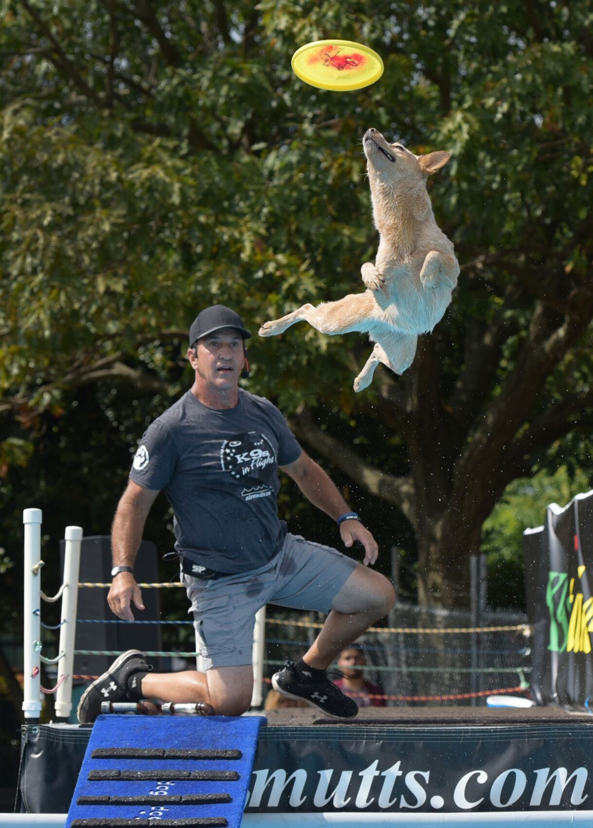 Carolina Classic Fair